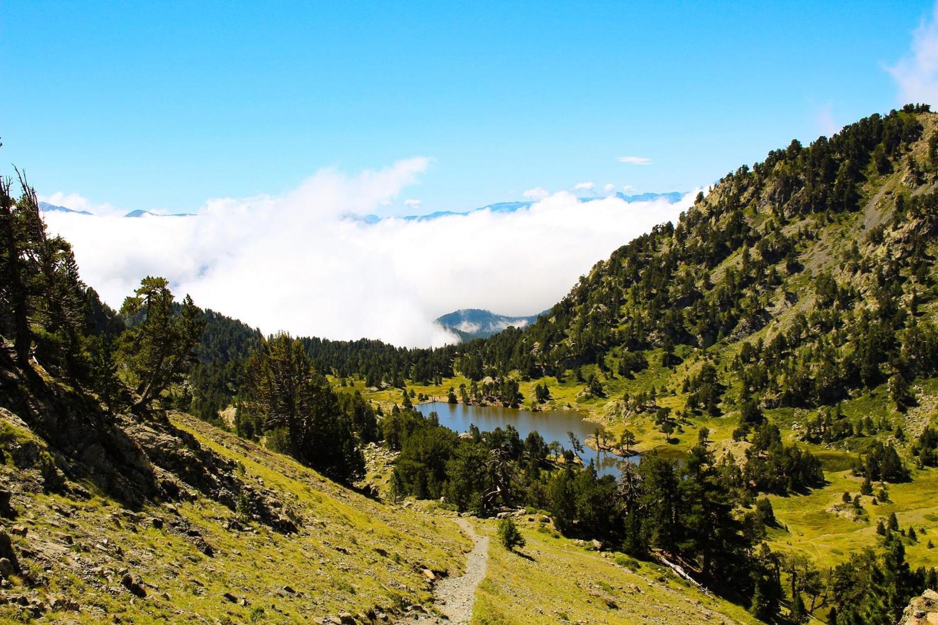 Le T2 Douillet D'Uriage - Residence Le Louvre - Cure Thermale Uriage- Proche Chamrousse - Jusqu'A 3 Personnes - Region Agreable En Toute Saison Vaulnaveys-le-Haut Buitenkant foto